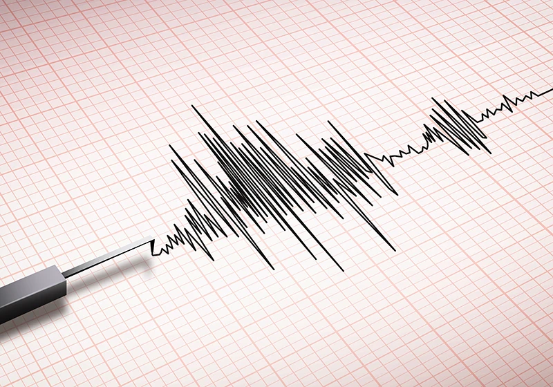 Earthquake seismometer
